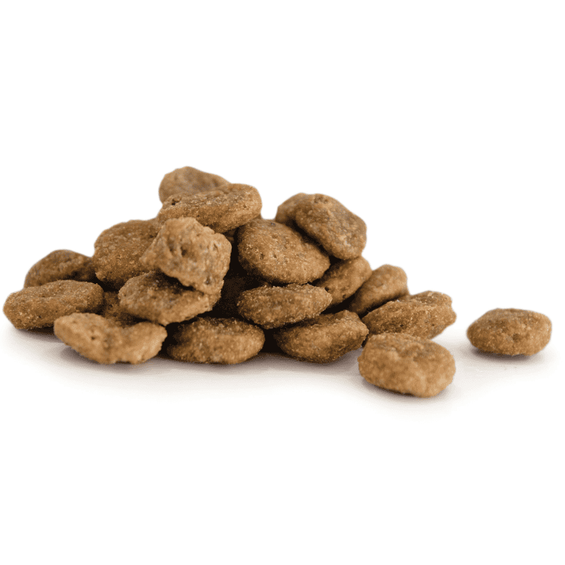 Harmony Small breed