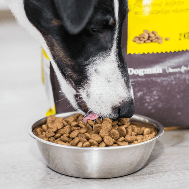 Harmony Small breed