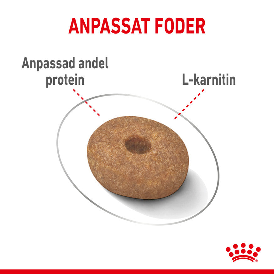 Royal Canin Light Weight Care Mini Adult Torrfoder för hund 8 kg