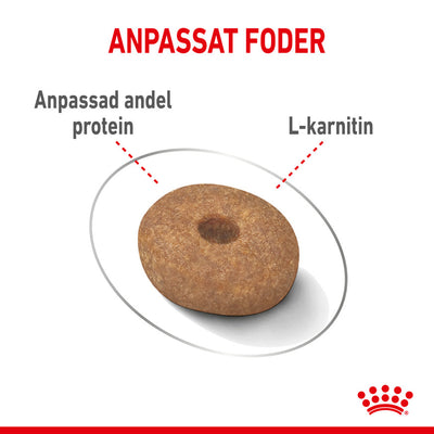 Royal Canin Light Weight Care Mini Adult Torrfoder för hund 8 kg
