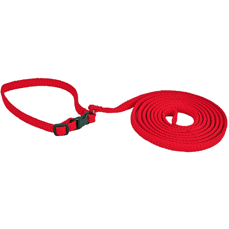 Alac Halsband & Koppel Set - Svart