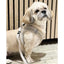 Ozami hundsele air-mesh beige M