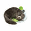 Catit Catit Senses 2.0 - Wellness Center