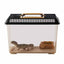 Exo Terra Faunarium - Medium - 30x19,5x20,5 cm