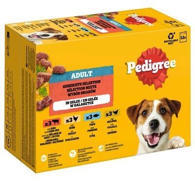 PEDIGREE® Multipack Portionspåsar Fjäderfäutbud 4 sorter Kyckling, Anka, Fjäderfä, Kalkon i sås, 12x100g