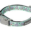 FuzzYard Dreamtime Koala Hundhalsband