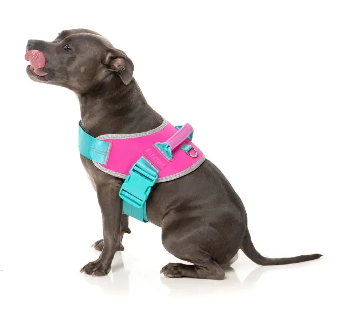 FuzzYard Flash Sele - Bubblegum