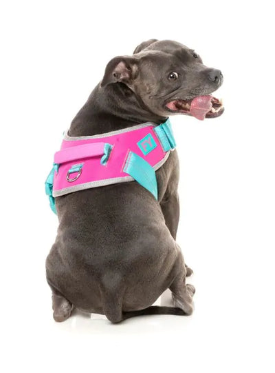 FuzzYard Flash Sele - Bubblegum