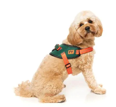 FuzzYard Flash Sele - Commando