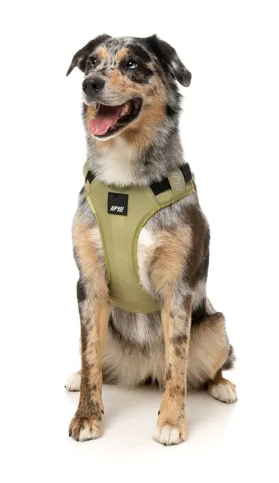 FuzzYard Active Go Sele - Khaki