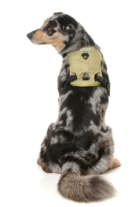 FuzzYard Active Go Sele - Khaki
