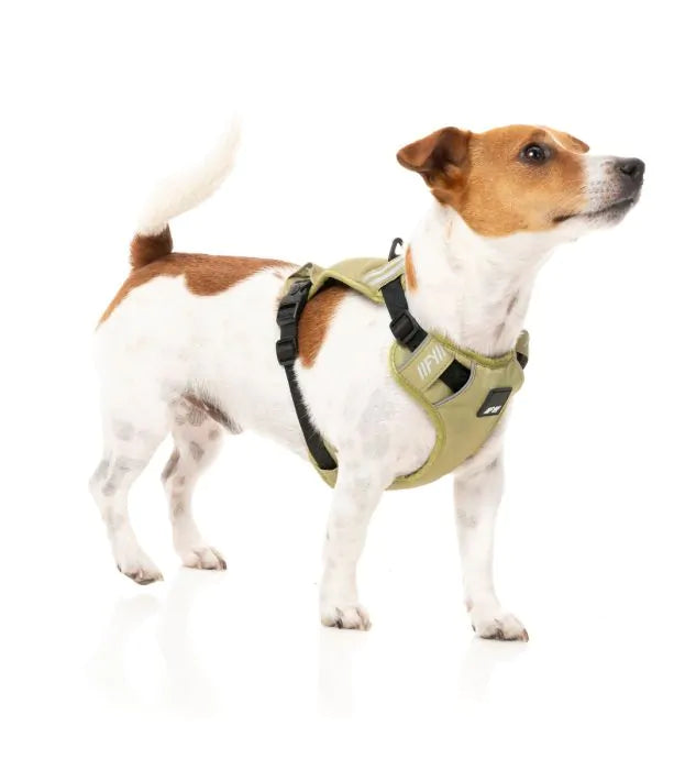 FuzzYard Active Go Sele - Khaki