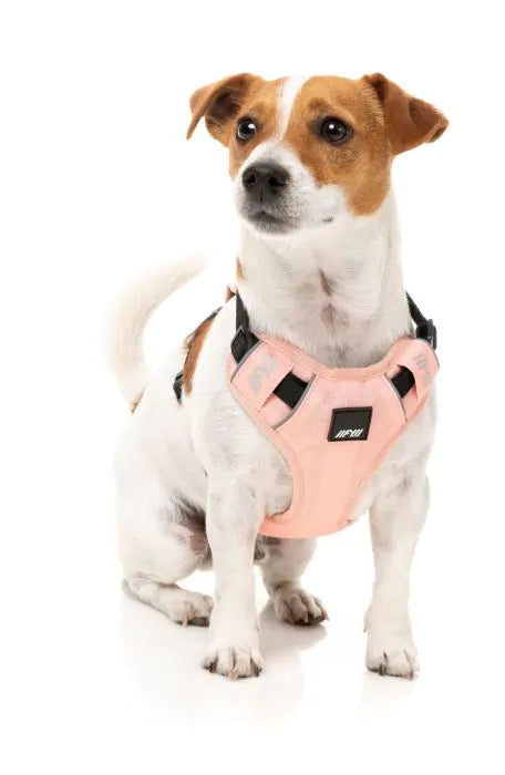 FuzzYard Active Go Sele - Peach