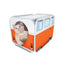 All For Paws Kattigloo Pop Up Minibus