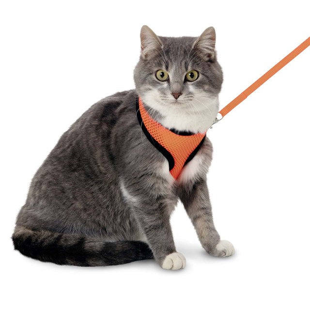 Trixie Kattsele med Koppel Orange/Svart för Kattunge