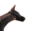 Pawise Munkorg Nylon - M - Nackband 22-38 cm