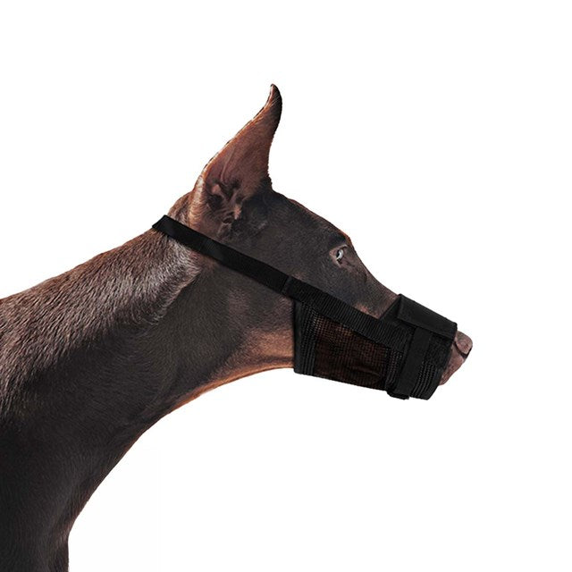 Pawise Munkorg Nylon - M - Nackband 22-38 cm