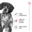 Royal Canin Medium Adult torrfoder för hund 4kg