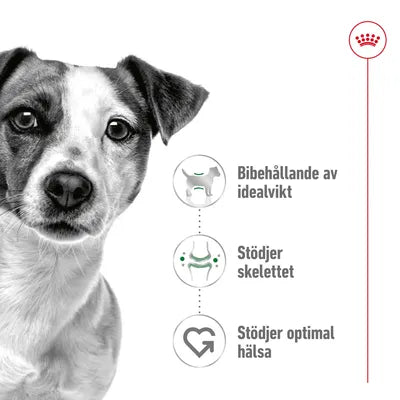 Royal Canin MINI Adult Torrfoder för hund 4 kg
