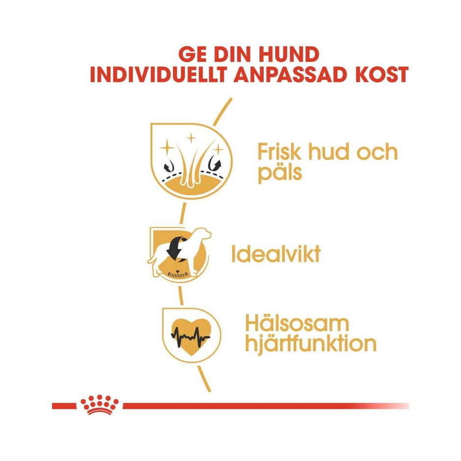 Royal Canin Cocker Adult Torrfoder för hund 12 kg