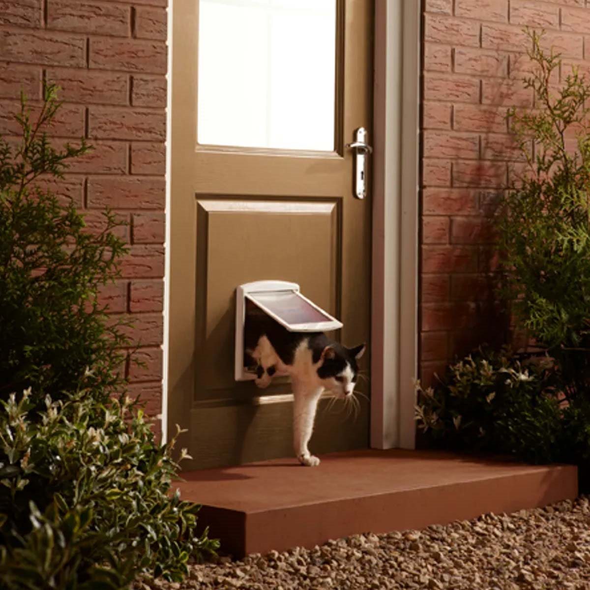 PetSafe Staywell Pet Door 715 - Vit - Hund- & kattlucka