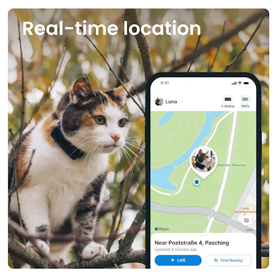Tractive CAT Mini - Katt-GPS med hälsospårning – Blå