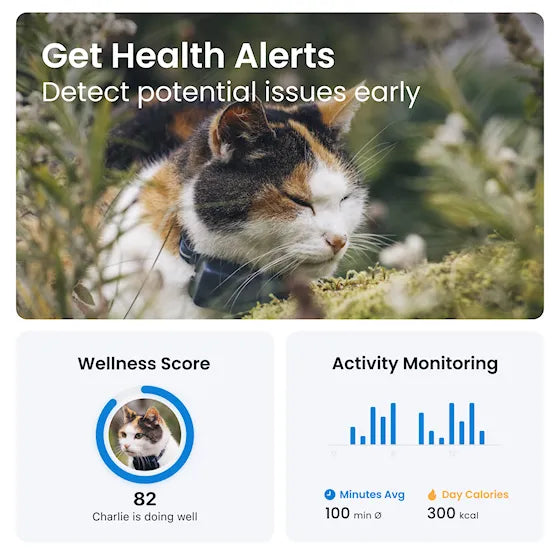 Tractive CAT Mini - Katt-GPS med hälsospårning – Blå