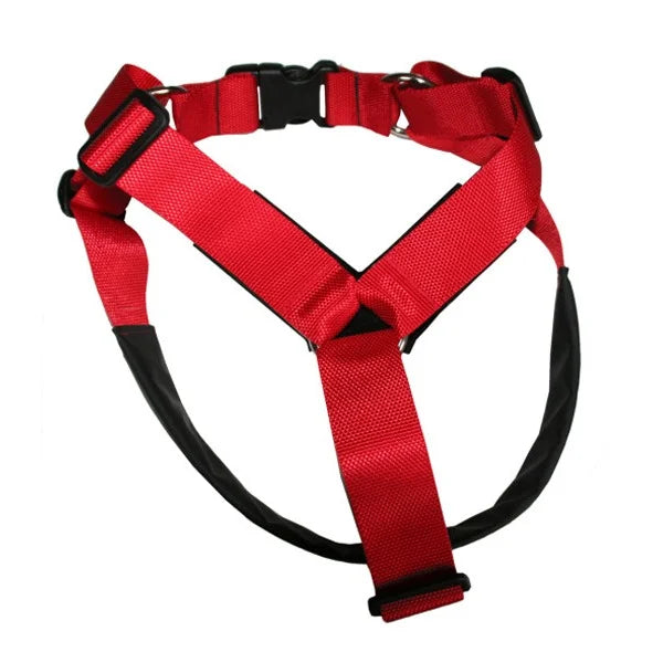VGWBälte Extension Nova Dog Röd M 58-67cm